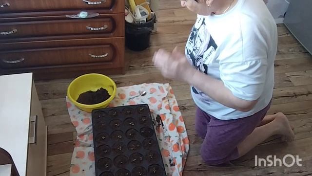 Добрыня на днюхе/пекировка/как живут в русской деревне...