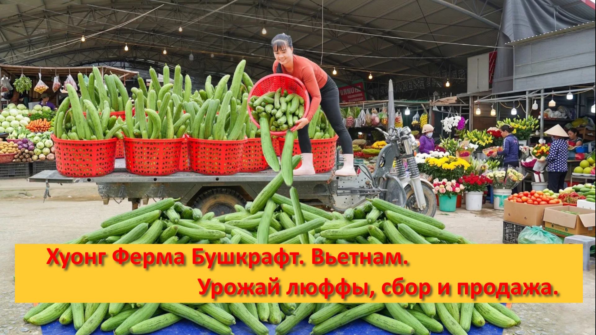 Хуонг Ферма Бушкрафт. Вьетнам. Урожай люффы, сбор и продажа.