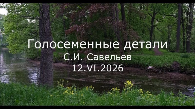 С.В. Савельев - Голосеменные детали