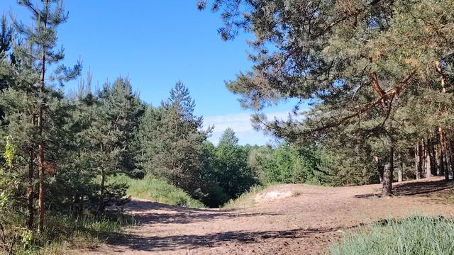 Грибоедов Александр. Немного истории