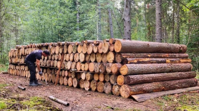 Два мужика построили бревенчатый дом в лесу. Полное строительство таёжной избы