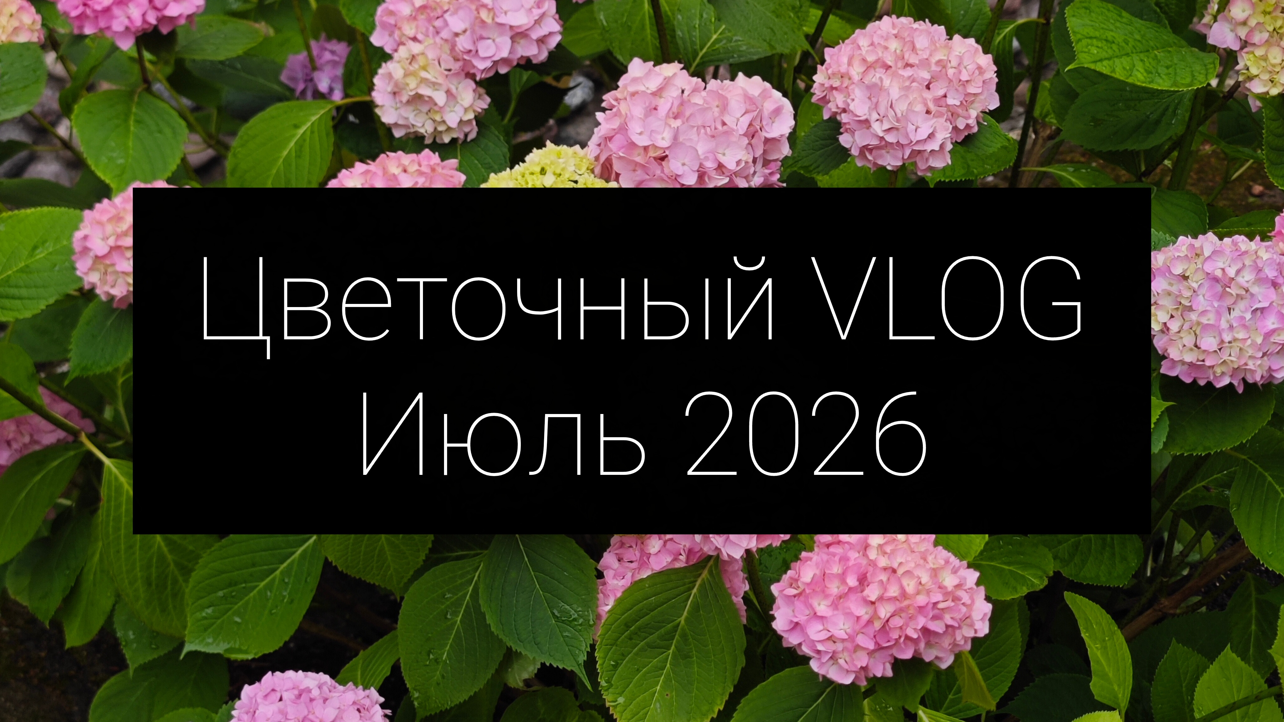 цветочный влог 2026