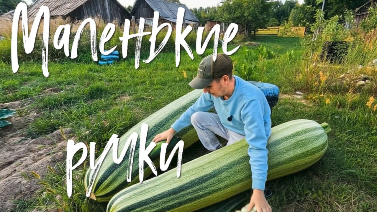 Маленькие ручки.