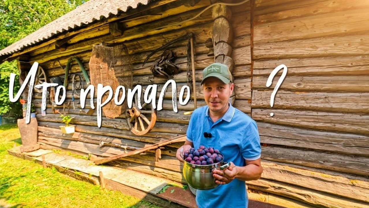 Что пропало ?