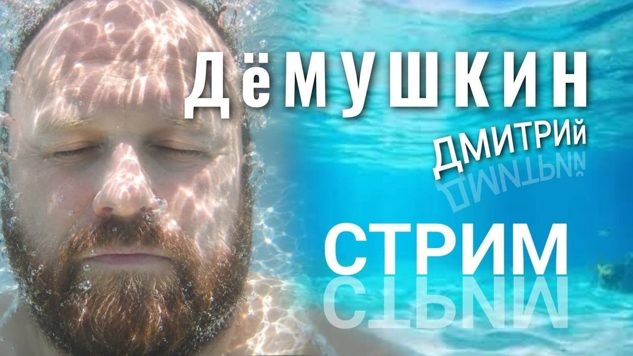 Мобилизация и перспективы (Дмитрий Демушкин)