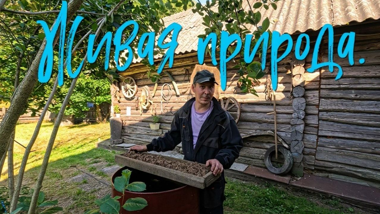 Живая природа.