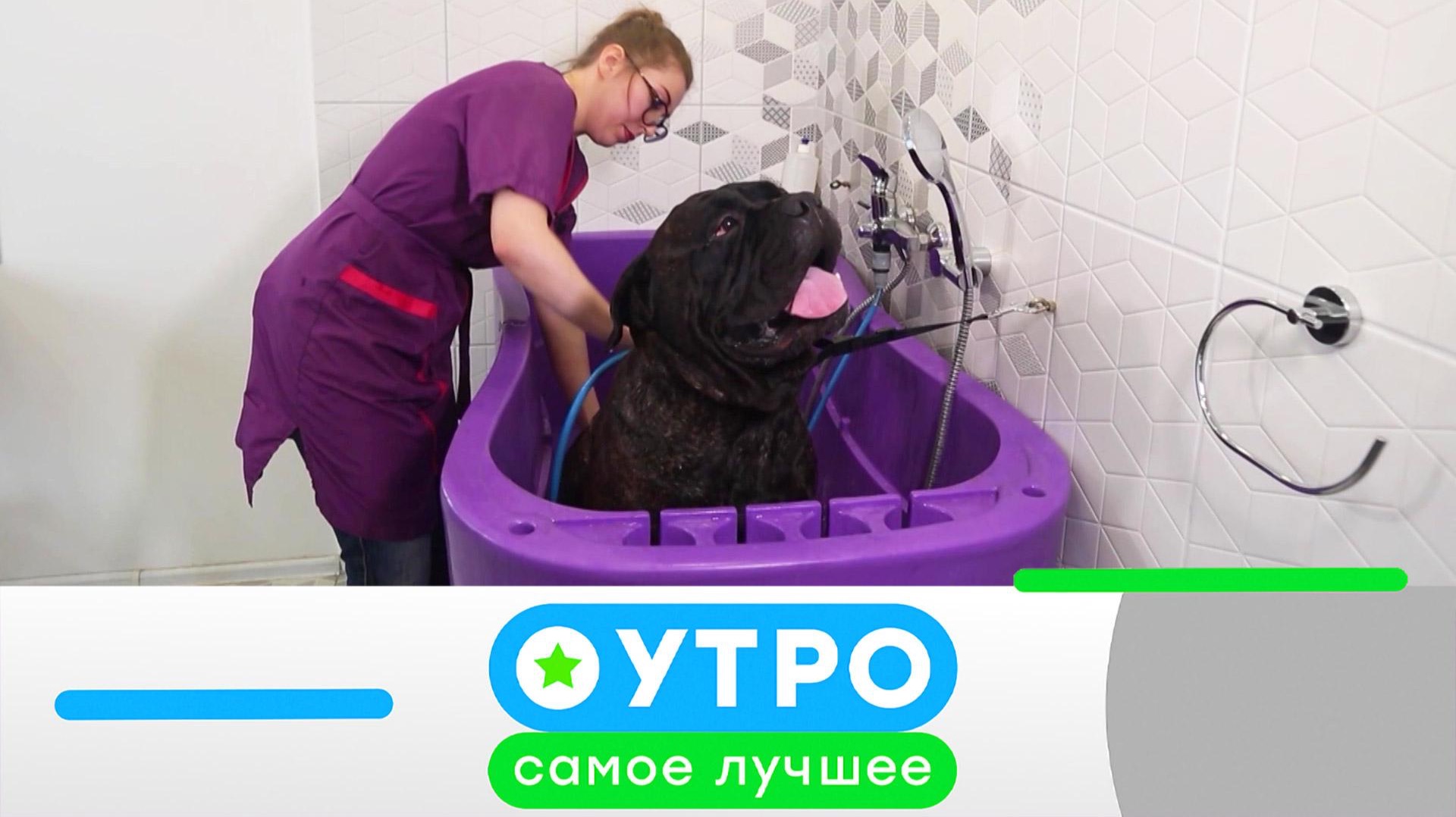 «Утро. Самое лучшее»: 5 августа 2026 года