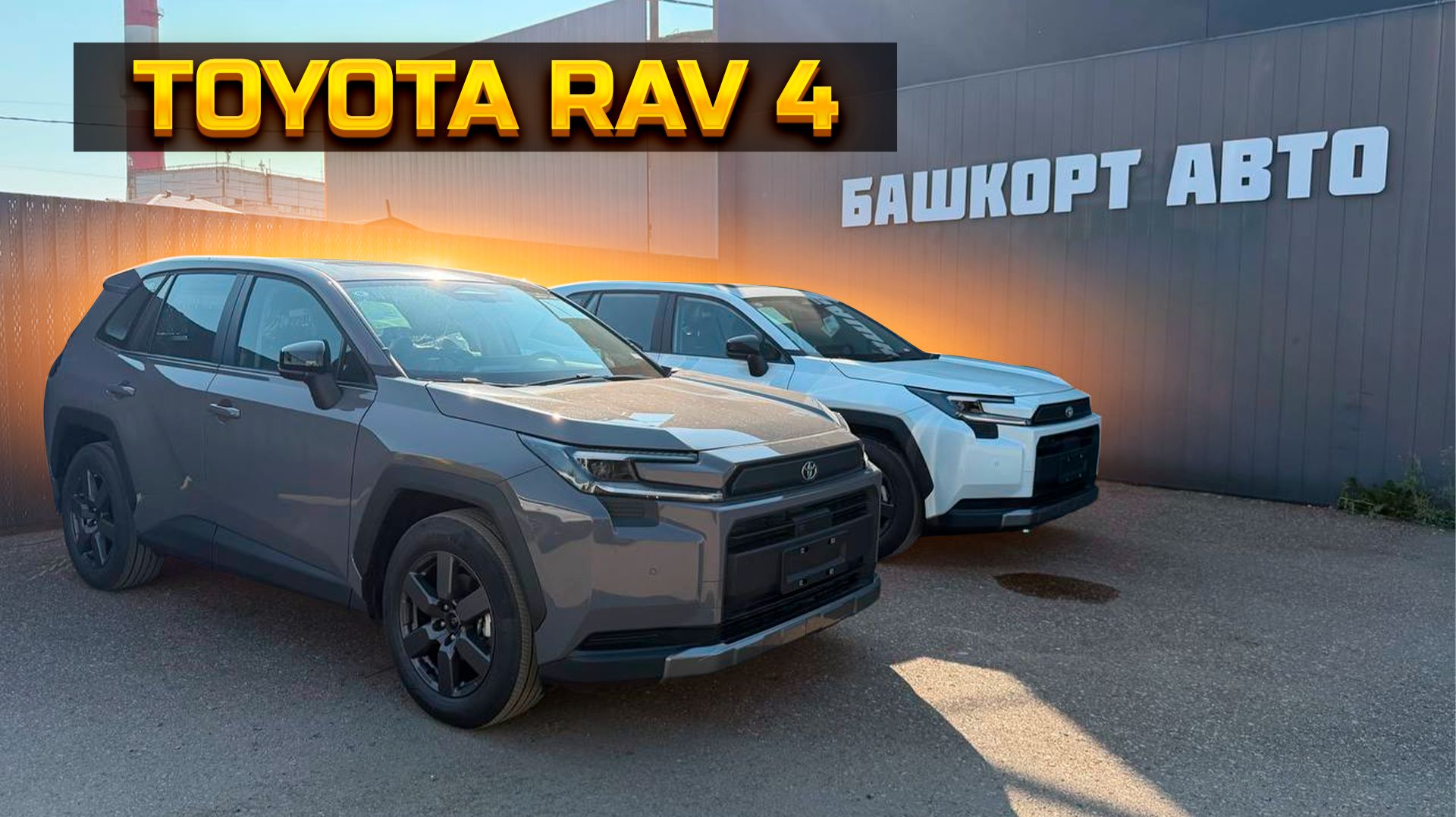 Ищете новый Toyota RAV4? Сравните цены у нас