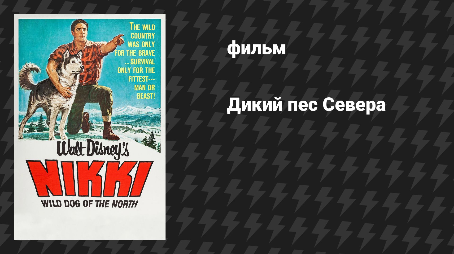Дикий пёс Севера (Никки, дикий пёс Севера) (фильм, 1961)