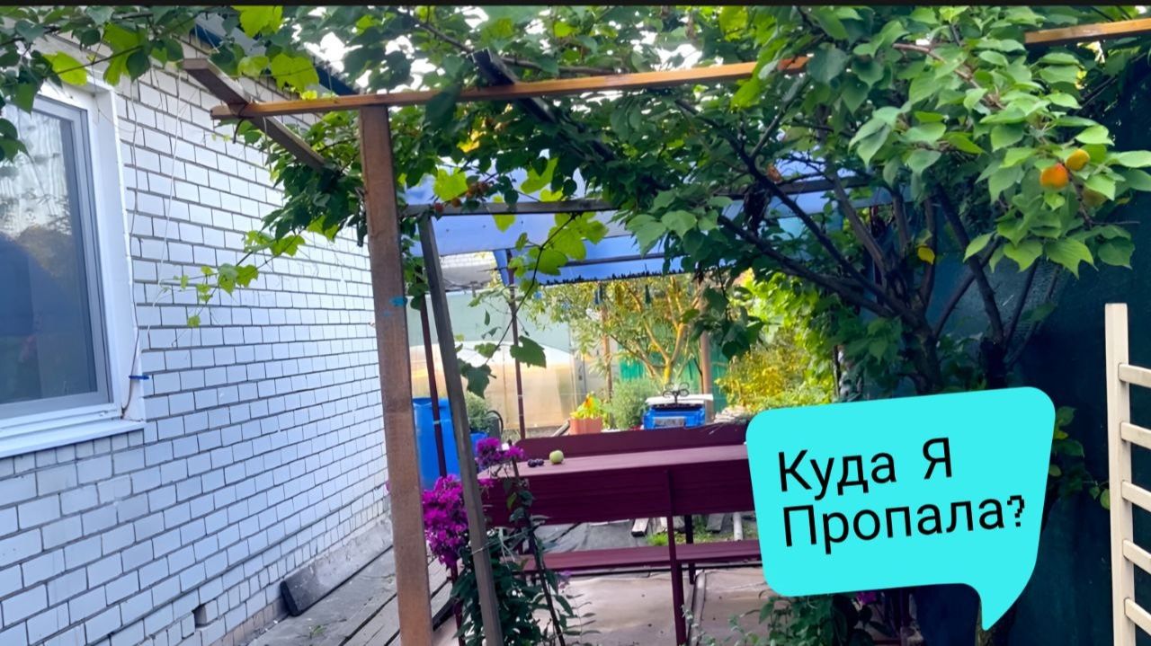 Куда Я Пропала_ Когда Улетаю из России_ Закрываем с Мамой Огурцы. (1)