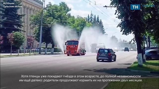 В Туле продолжают освежать улицы города