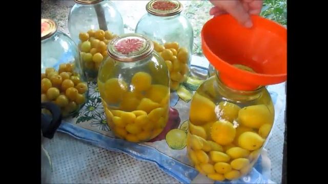 Компот из алычи на зиму без стерилизации