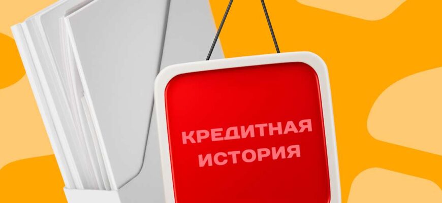 Новые МФО на рынке: свежие возможности для быстрых займов